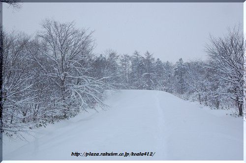 DSC_8102.jpg