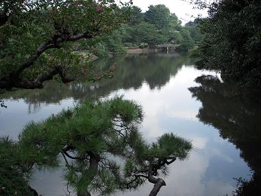 新宿御苑の池