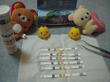 テトラテストで水質チェック