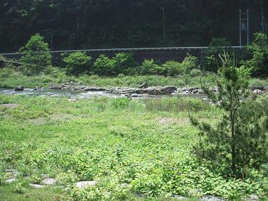 神奈川県 酒匂川