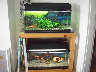 ９０ｃｍ熱帯魚・水草水槽と金魚水槽