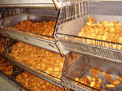 たくさんの種類のパン