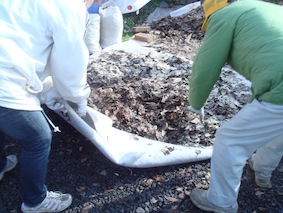 20101217腐葉土4