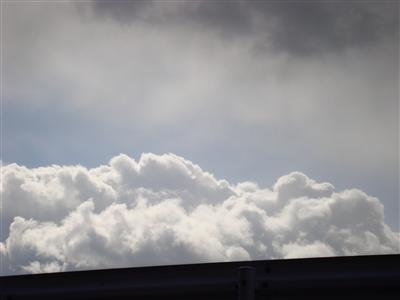 人工物と二種類のくも