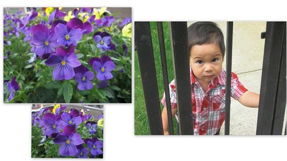 2009-6 Wood Side.jpg