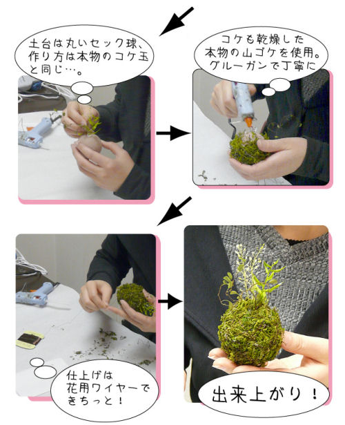 プリザーブドの苔玉ができるまで　その2