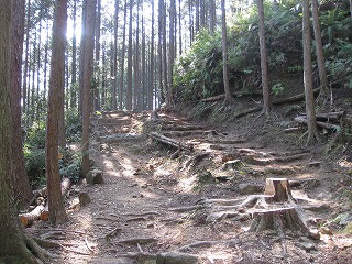 道普請2011-05-18 033.jpg
