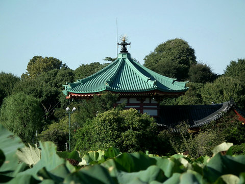 同位置から(500mm)
