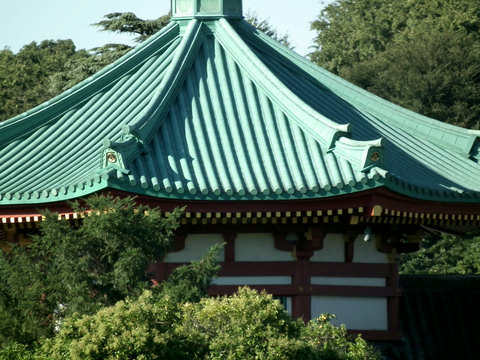 同位置から(720mm)