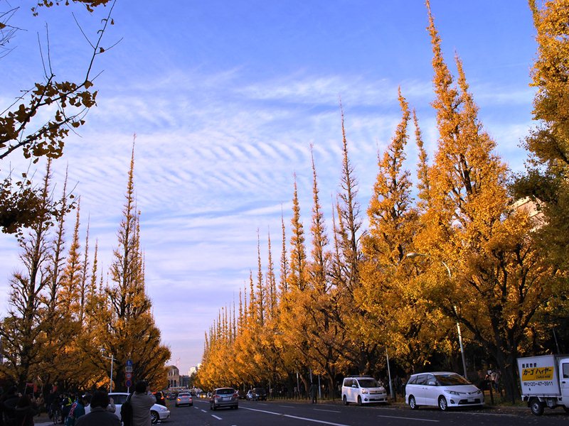 このもちもち感がやみつき！ポーランドの餃子「ピエロギ」を食べてみた GOTRIP! 明日、旅に行きたくなるメディア