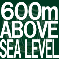 600mABOVE SEA LEVEL.GIF