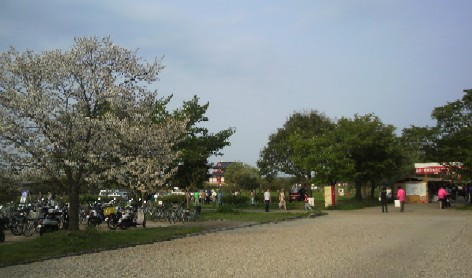 2011/04/30天平祭東市西市桜の花と大極殿