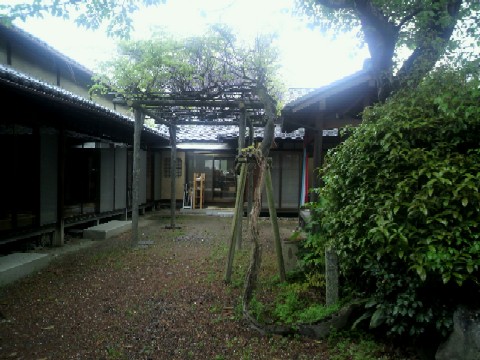 20110427大国主命神社の敷地と藤棚