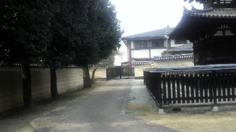 興福寺信徒会館と三重塔
