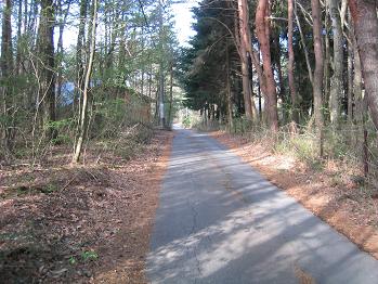 散歩道