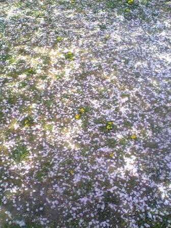 110415_103009.jpg
