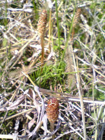 110414_112500.jpg