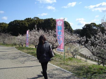 DSC04393.JPG