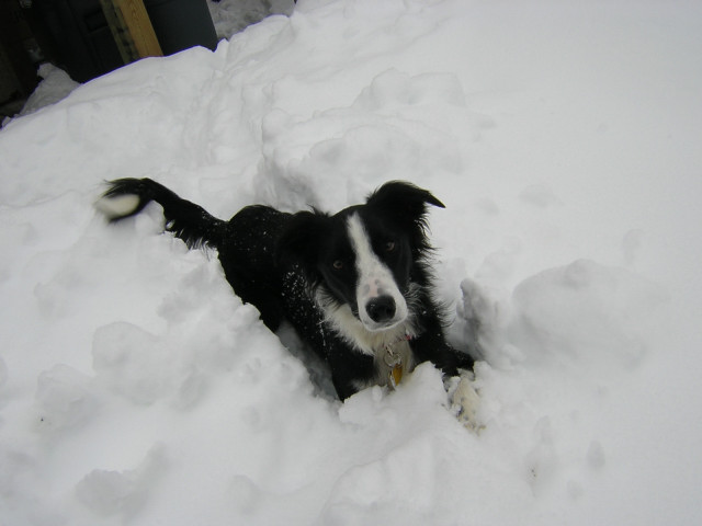 DSCN2377.JPG