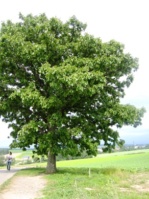 1,2010.8.19-23北海道 200.jpg