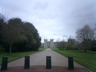 windsor