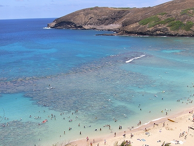 ハナウマベイ２