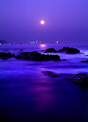 月夜に魅せられて