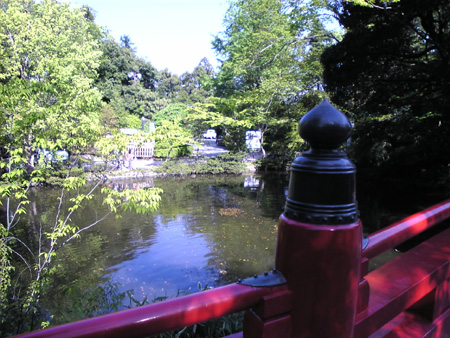 大宮氷川神社3