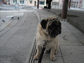 IMG_4770_2.JPG