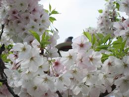 IMG_1975.JPG