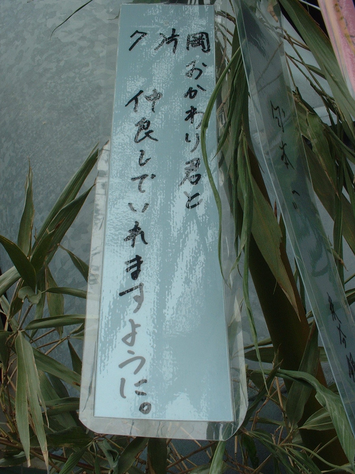 片岡選手の七夕の願い