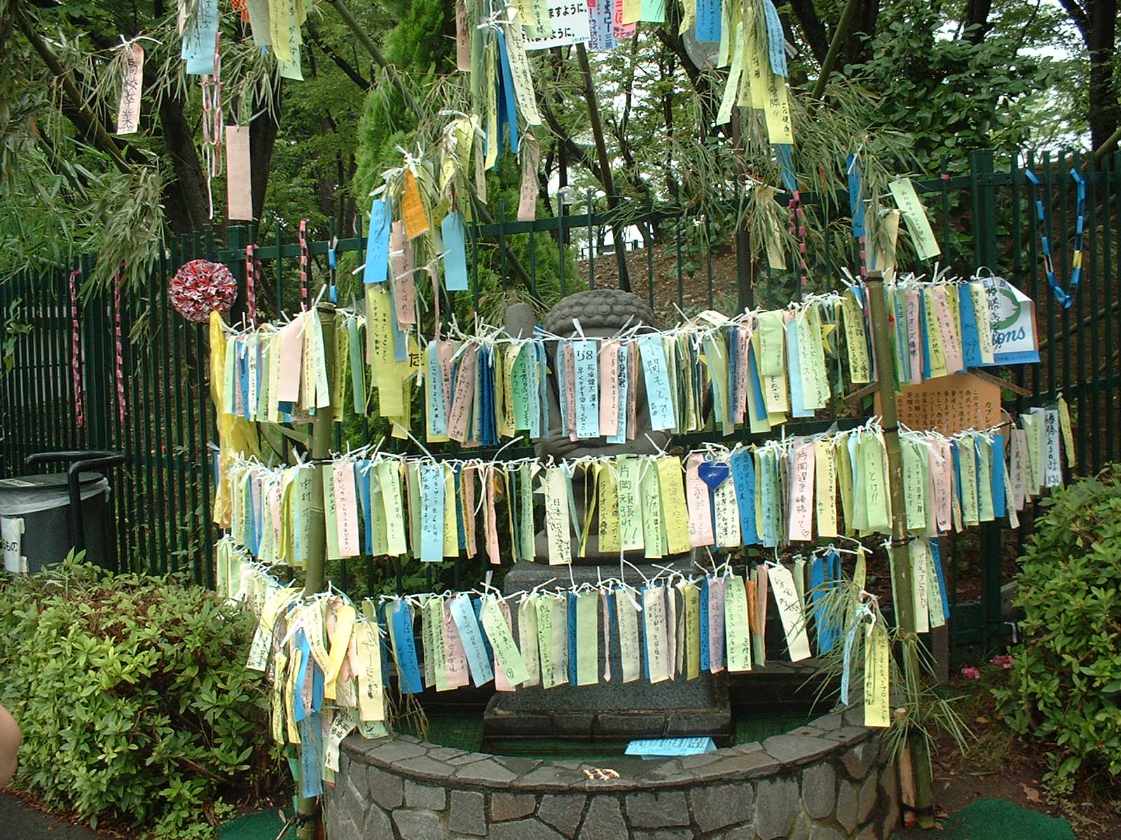 ファンの七夕の願い