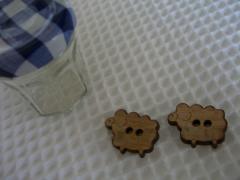 CIMG0334-1.jpg