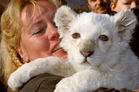 アシャンティ２