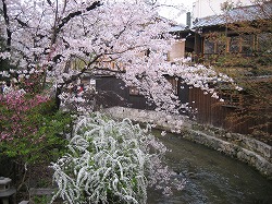 京都白川