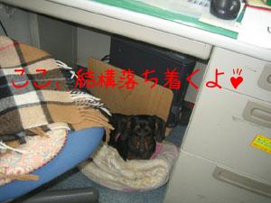 2005-06-08 18:20:59
