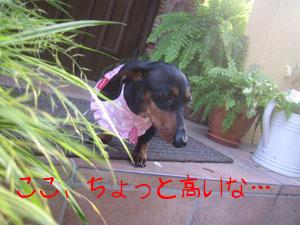 ちょっと高い