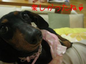 2005-06-22 15:29:15