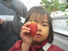 strawberry-hunt20070403-03