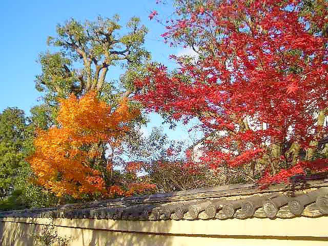 大徳寺