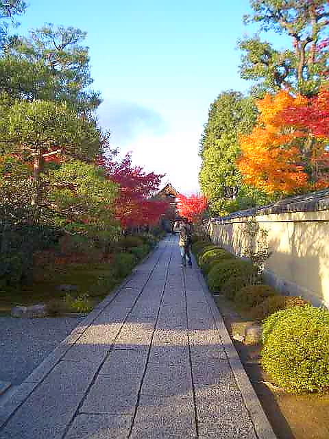 大徳寺1