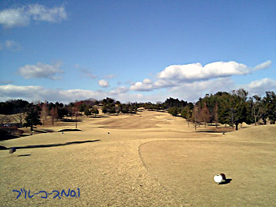 ブルーコース No,1