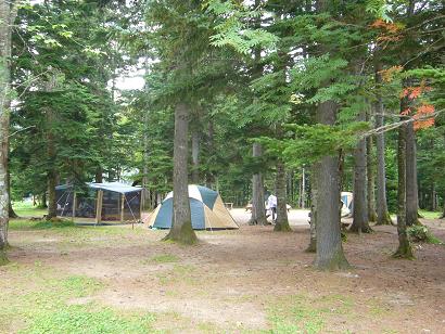 然別湖北岸野営場林間部