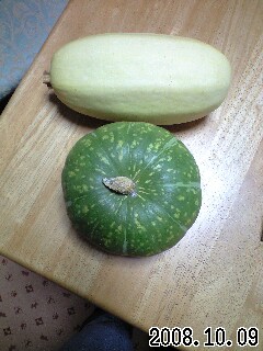 貴重な野菜をありがとう！