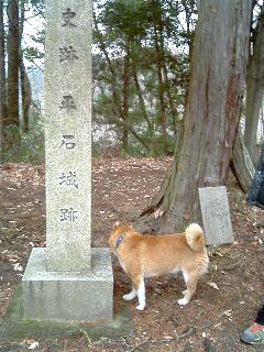 僕だってのぼれるんだぞ！