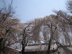 IMG_0018.jpg