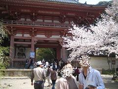 IMG_0019.jpg