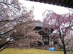 IMG_0020.jpg