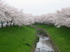 IMG_0046.jpg