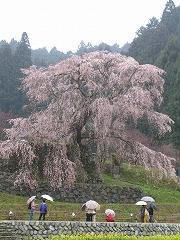 IMG_0087.jpg